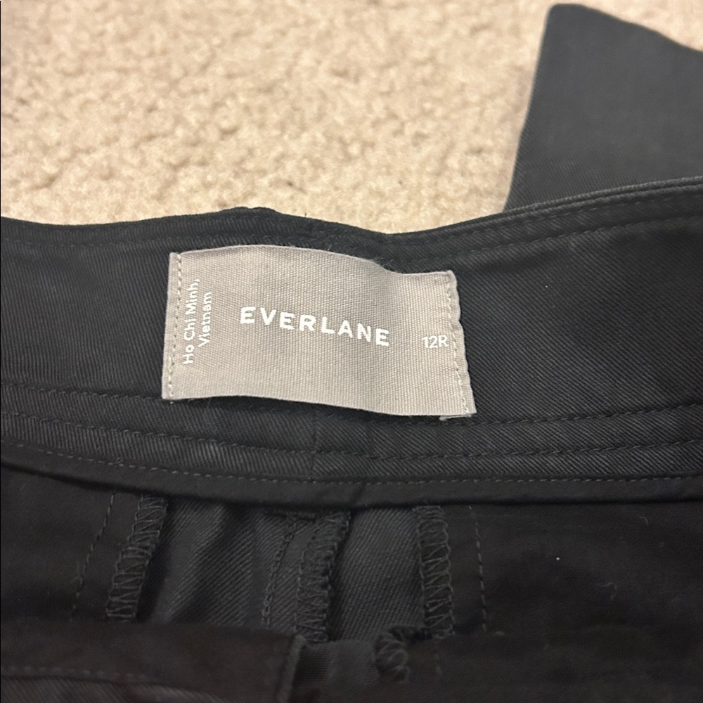 Everlane The Way High Draper Pleated Pant in Buttersmooth Tencel Cotton - Picture 5 of 8